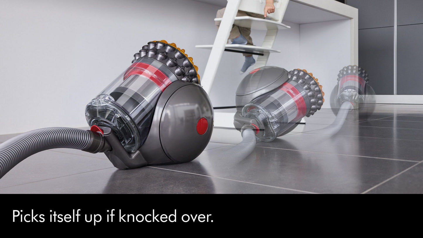 Dyson Cinetic Big Ball Animal 2 cylinder vacuum cleaner.